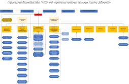 Структура и органы управления